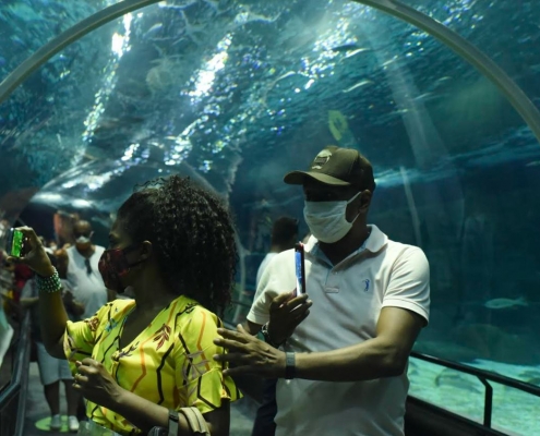 AquaRio amplia horário de visitação