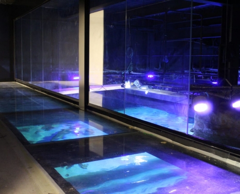 Oceanic Aquarium inaugura passarela de vidro suspensa sobre habitat dos tubarões