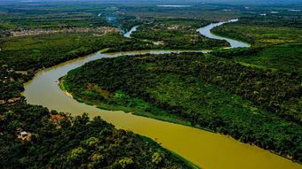 Pantanal é escolhido como um dos 50 melhores lugares do mundo em 2023 - Jornal de Boas Notícias