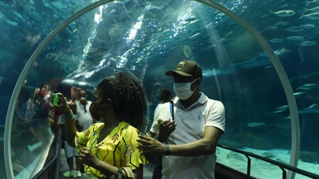 AquaRio amplia horário de visitação